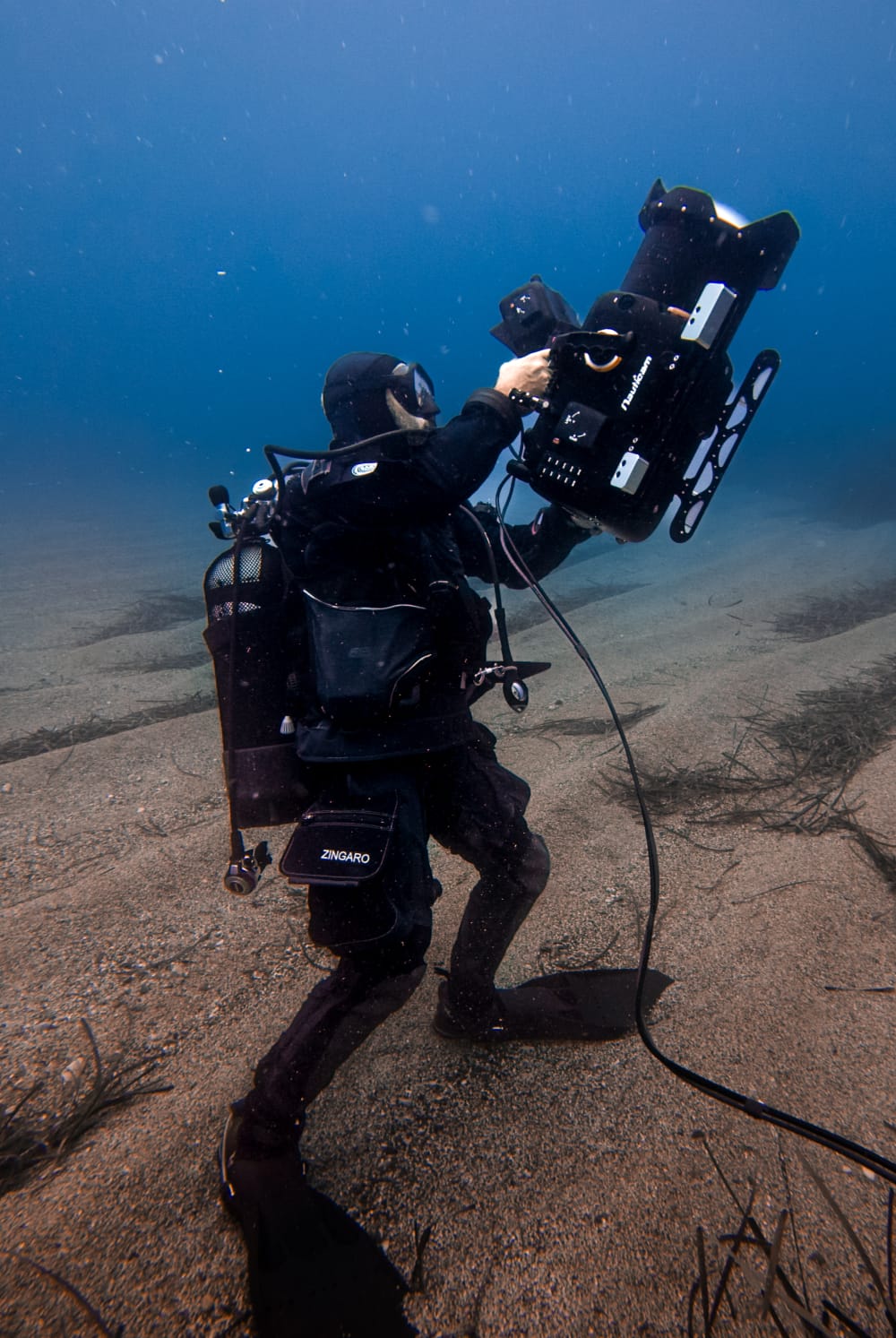 Director at monitor station